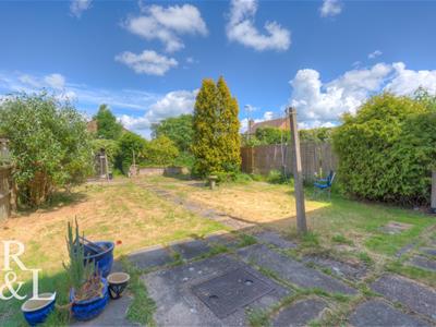 Picture 20